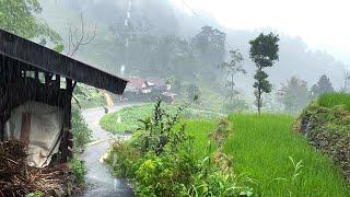 Heavy rain strong wind accompanied by thunder in the countryside||sleep soundly in 5 minutes