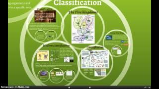 Classification