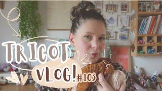 Test Knit, châle Oberon et Pigneto Socks | Vlog Tricot 103