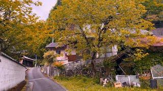 4K Japanese Countryside Walking Tour || Kyoto, Japan 2024