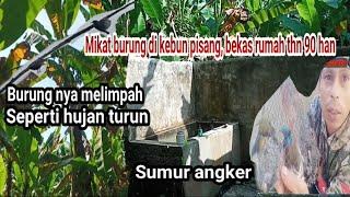 mikat burcil terbaru Bekas rumah 1990