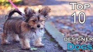 TOP 10 DESIGNER DOGS