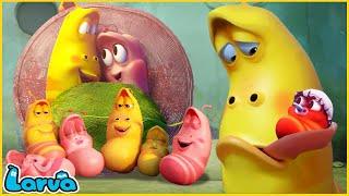 LARVA | BE A FATHER | CARTOON MOVIE FOR LIFE |THE BEST OF CARTOON | HILARIOUS CARTOON COMPILATION