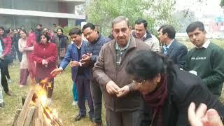 Cake Cutting - Lohri Celebration, Chemistry Department, Kurukshetra University Kurukshetra