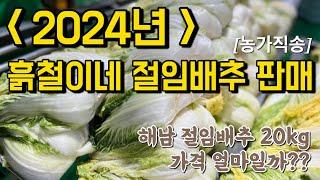 2024년 흙철이네 절임배추 사전예약판매 시작!