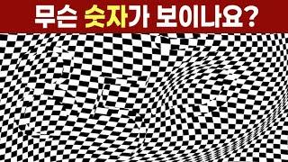 이 숫자가 보인다면 특별한 눈을 가졌습니다