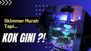 PEMAKAIAN 2 MINGGU SKIMMER MURAH UNTUK PICO REEFTANK BUBBLE MAGUS QQ1