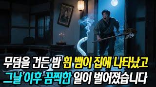 조상 무덤 파헤친 날 밤, 흰 뱀이 집에 들어왔다… 그날 이후 벌어진 소름 돋는 일들