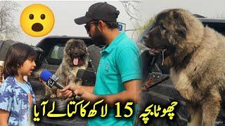 Biggest Dog show F9 Islamabad - bacha 15 lakh ka kutta ly aya