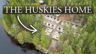 This Is How Our Siberian Huskies Live | See Our Husky Kennel Setup - Working Husky Kennel