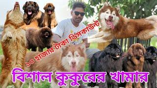 Dog price in Bangladesh | Biggest Dog Form |  Dog price 2023 | Animal market in Bangladesh