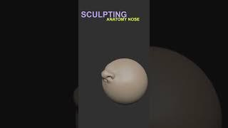 Master 3D Sculpting Anatomy | Create a Stylized Nose for a Character in ZBrush