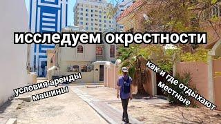 аренда машины, парки и странные растения в пустыне.