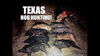 Thermal hog hunting in texas!