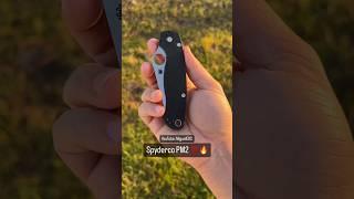 Spyderco PM 2 vs Para 3!?  Which One Should You Buy? #knife #edc #shorts #knives #fyp #viral