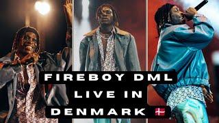 Fireboy DML Perform live in Denmark 