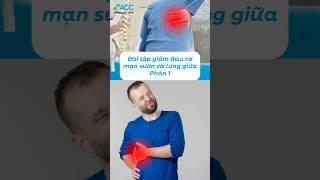 Bài tập giảm đau cơ mạn sườn và lưng giữa - Phần 1 #shorts #chiropractic
