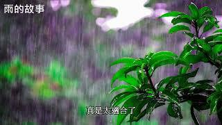 雨的故事: music (violin, clarinet) played and arranged by Simon Hsu