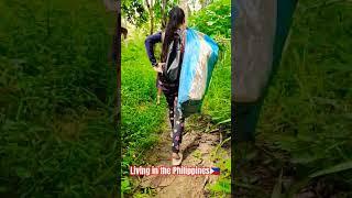 Life in the Philippines  Walking On The Riverside  #lifeinthephilippines #farmer #countryside