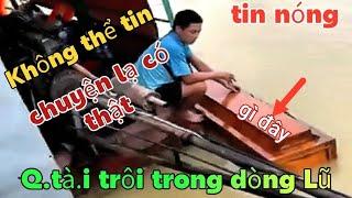 chuyện lạ có thật Q"tà"i trôi theo dòng Lũ