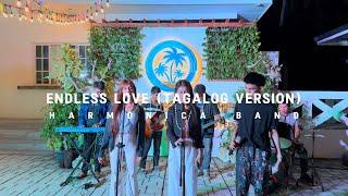Endless Love- Diana Ross and Lionel Richie (Tagalog Version by HARMONICA BAND)
