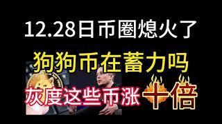 12.28日币圈熄火了！狗狗币在蓄力吗？灰度的这些币真要涨十倍了！