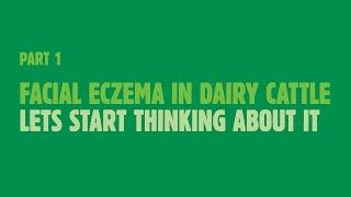 Part 1 - Facial Eczema in Dairy Catlle. Let's start thinking about it