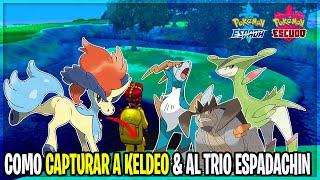 como CONSEGUIR a KELDEO VIRIZION COBALION & TERRAKION en POKEMON ESPADA y ESCUDO NIEVES de la CORONA