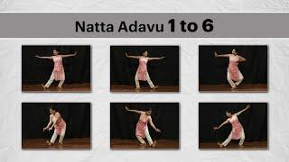 Natta Adavu 1 to 6 Practice for Bharatanatyam Beginners / Learn Bharatanatyam Online/ Lesson no