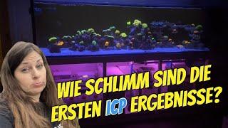 Brandneues UPDATE  zum 1000 l Meerwasseraquarium: ICP Ergebnisse, NEUE FISCHE und Neues zur TECHNIK