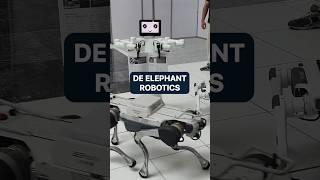 Robots de Elephant Robotics | IROS 2024 en Abu Dabi | PRO Robots