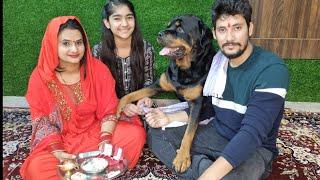 Jerry's reaction on my marriage | sapna rajveer ki shadi | funny dog video | fully trained dog |