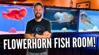 PRIVATE TOUR Inside Beautiful FLOWERHORN FISH ROOM!