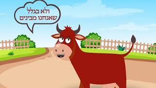 פרשת חוקת לילדים פרה אדומה -  חסידודס 22  עם השחקן גיל קפטן