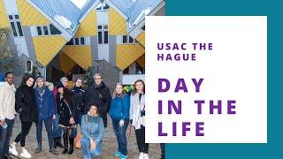 A Day in the Life Studying Abroad in The Hague, The Netherlands