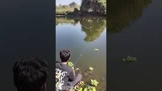 Fishing spot, Fishing Rod #hook #fish #fish #shortvideo #short #fishing