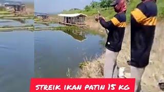 STRIKE IKAN PATIN#strikeikanpatinbesar #waduksaguling@ahmadudanfishing445