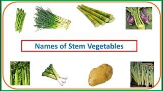 stem vegetables | names of stem vegetables | #stem | #EToddlers