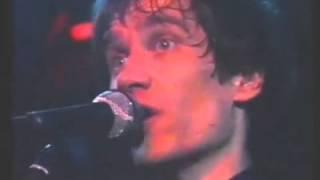 Solid Senders    Rare Performance 1979