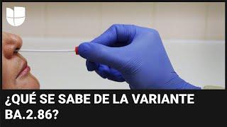 ¿Qué se conoce de la nueva variante del coronavirus, conocida como ‘Pirola’?