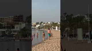 Sharm El Sheikh Beach -Egypt Hot Day Summer Holiday #beach