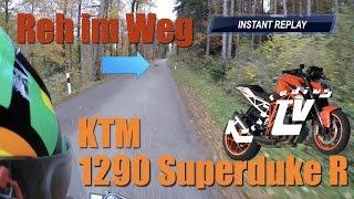 Reh im Weg ! KTM 1290 Superduke R Winterausfahrt RAW in 1080P | KurvenradiusTV