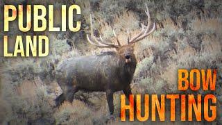 Bow Hunting BIG Public Land BULLS! Eastmans’ Hunting Journals