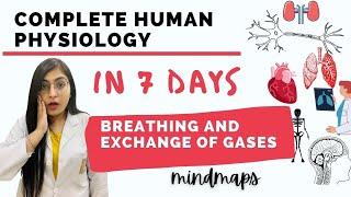 Human Physiology in 7 days with mind maps | BREATHING AND EXCHANGE OF GASES | Ishita Khurana