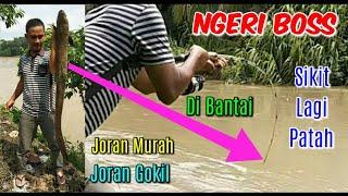 Ngeri !!! Hampir Patah • Di Hajar Sidat Raksasa | Giant Eel - Big Eels