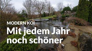 Ein Jürgen Kirchner Seerosenteich und Nautral Pool | Modern Koi Blog #6513