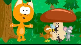 Rain is Going Mushroom is Growing - Kote Kitty Kids Songs