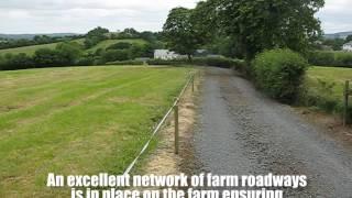 Property: 87ac Cavan farm up for auction