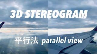 STEREOGRAM (Parallel View 3D) | 平行法ステレオグラム | P10 STEREOSCOPIC