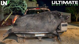 Jäger schießen Riesenschwein in Texas